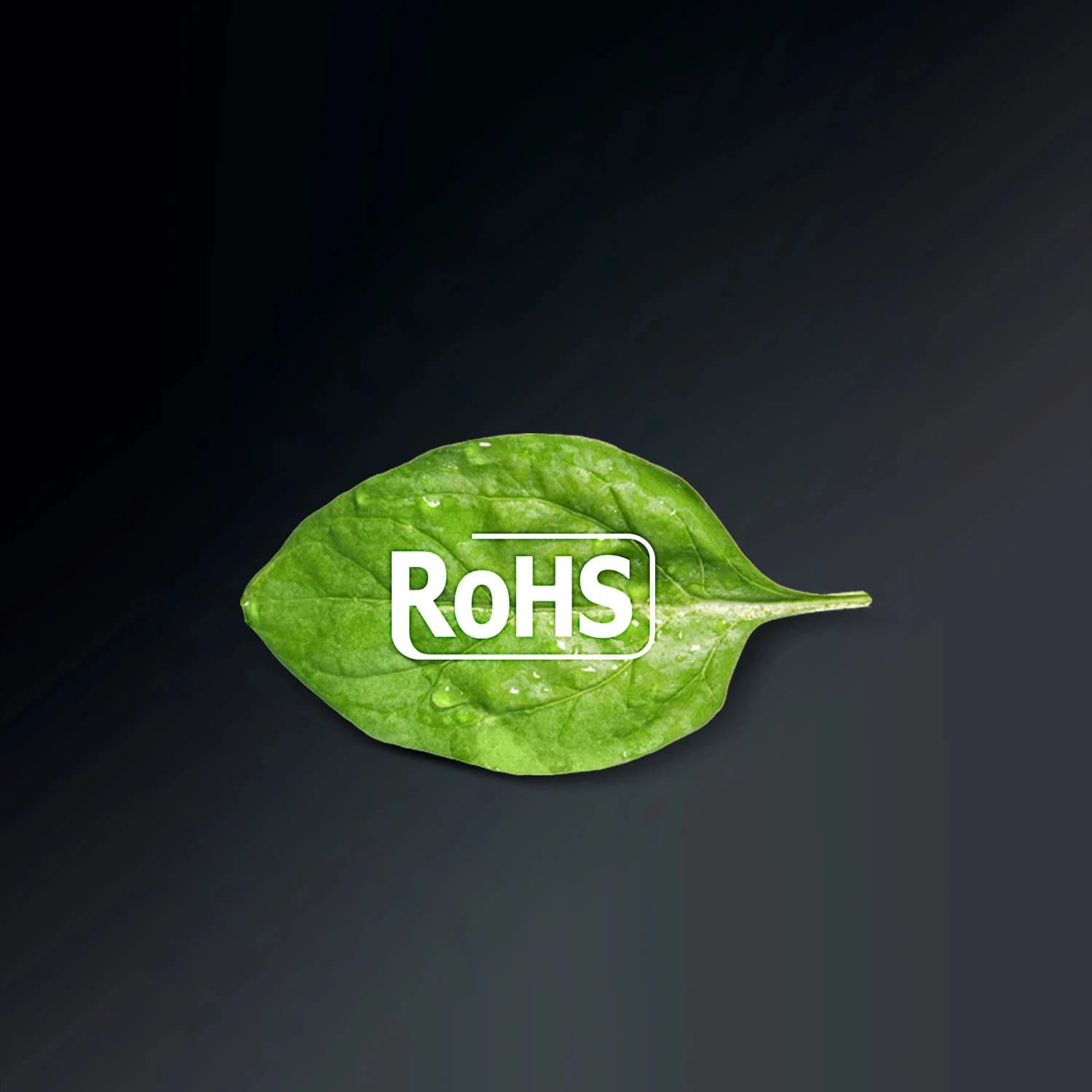 Изображение на продукта 15