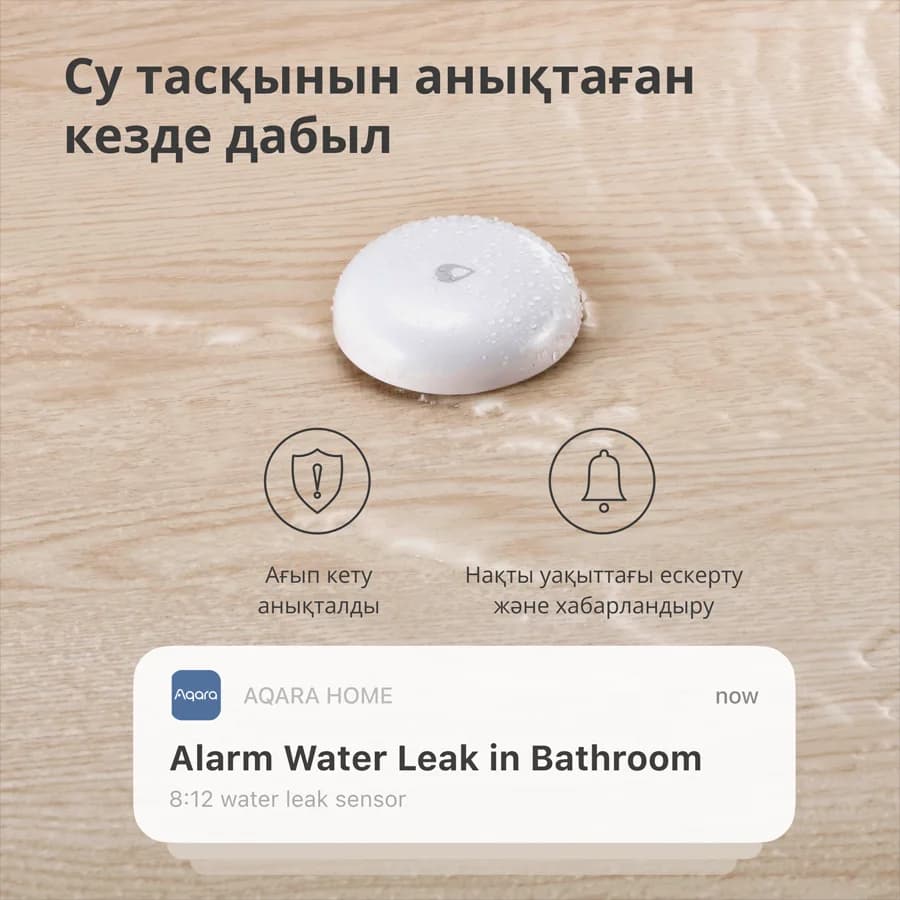 Изображение на продукта 50