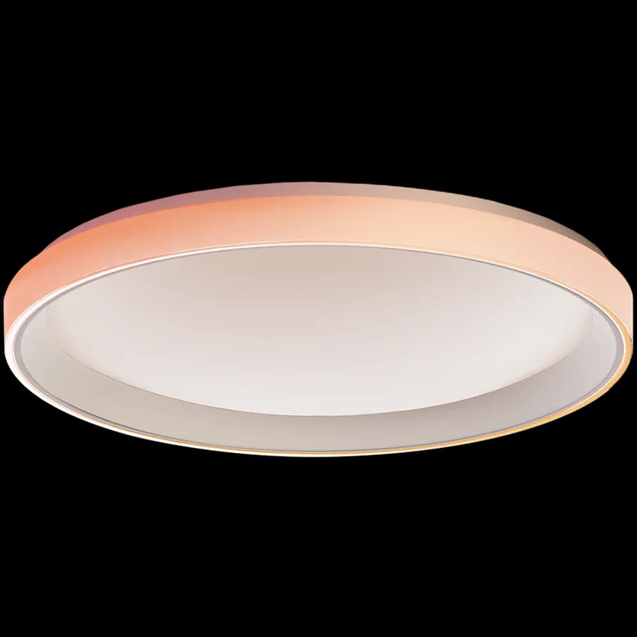 Aqara Ceiling Light T1M: Model No: CL-L02D