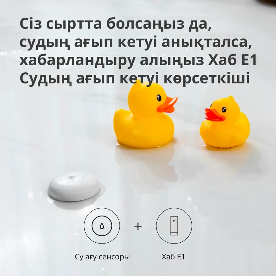 Изображение на продукта 42