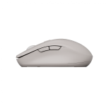 Мишка CANYON mouse MW-12 Dual band Wireless Beige, CNS-CMSW12BG Мишка CANYON mouse MW-12 Dual band Wireless Beige, CNS-CMSW12BG