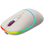 Мишка CANYON mouse MW-22 2in1 BT/ Wireless Rice