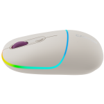 Мишка CANYON mouse MW-22 2in1 BT/ Wireless Rice