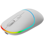 Мишка CANYON mouse MW-22 2in1 BT/ Wireless Snow White