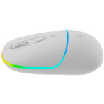 Мишка CANYON mouse MW-22 2in1 BT/ Wireless Snow White