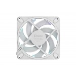 FD MOMENTUM 12 RGB WHITE