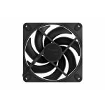 FD MOMENTUM 14 BLACK