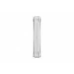 FD MOMENTUM 14 WHITE