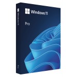 WIN 11 PRO 64BIT BULG USB FPP