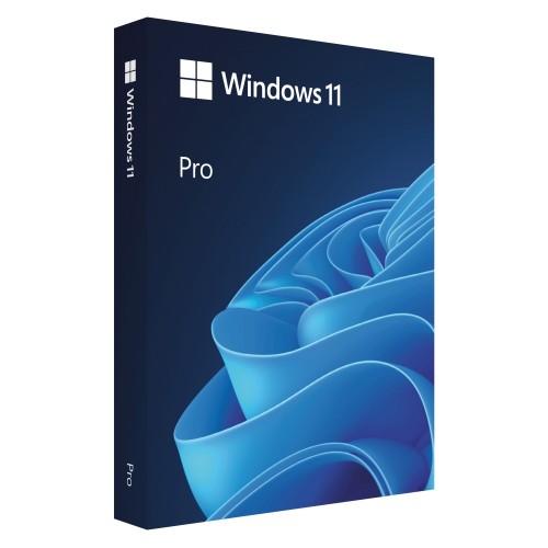 WIN 11 PRO 64BIT BULG USB FPP