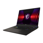 MSI VECTOR 17 HX A13VHG-693BG, 9S7-17S162-693