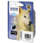 Ink Cartridge T096 Light Cyan for Stylus Photo R2880